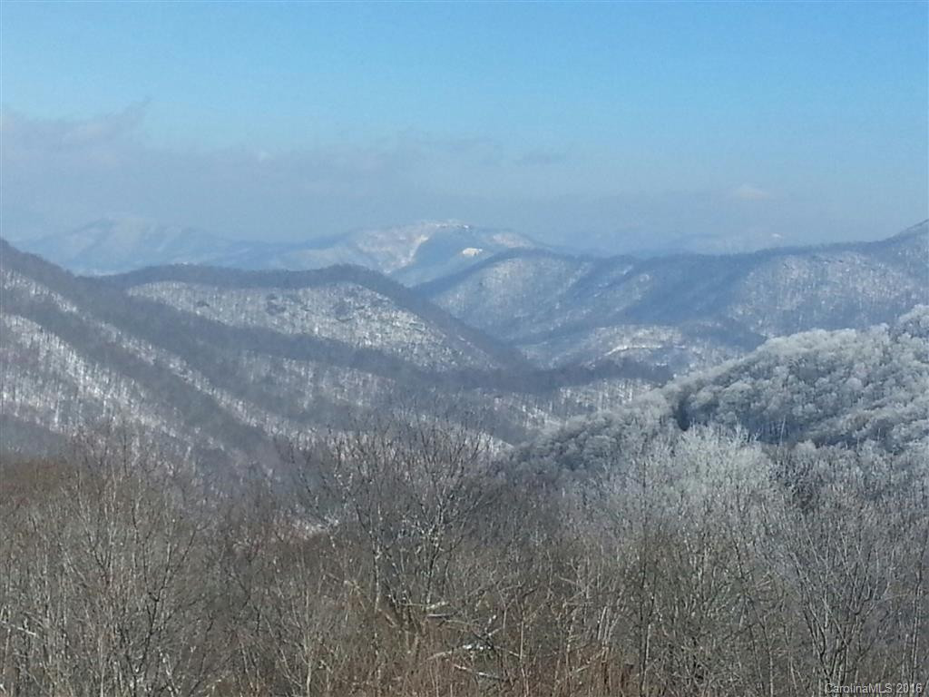 181 Scenic Wolf Ridge Drive #18 - Photo 24