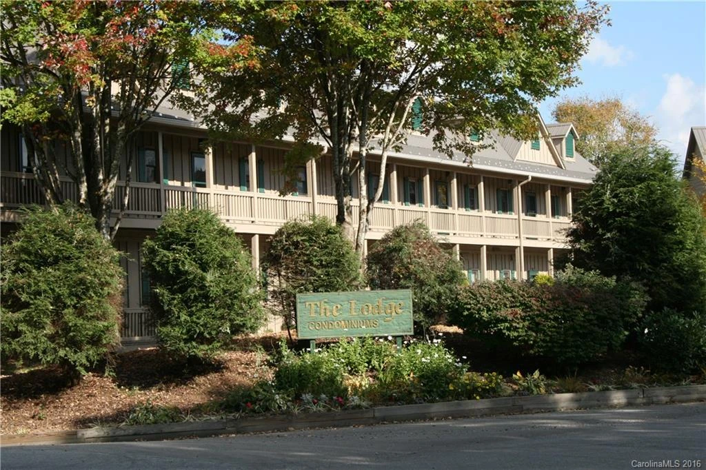 2521 # 202 Wolf Laurel Road #202