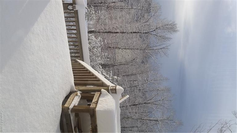 110 Conner Ridge Drive - Photo 23