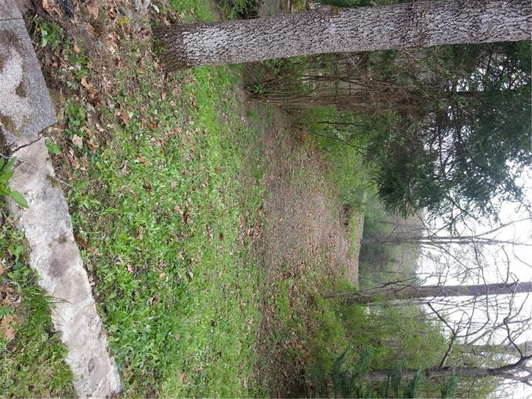 676 Macedonia Road - Photo 19