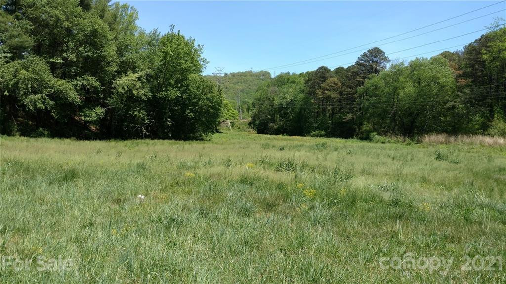 99999 Hendersonville Road - Photo 2