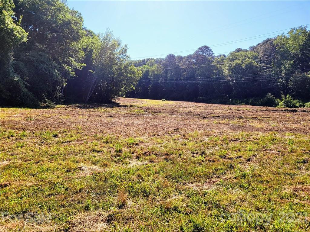 99999 Hendersonville Road - Photo 11