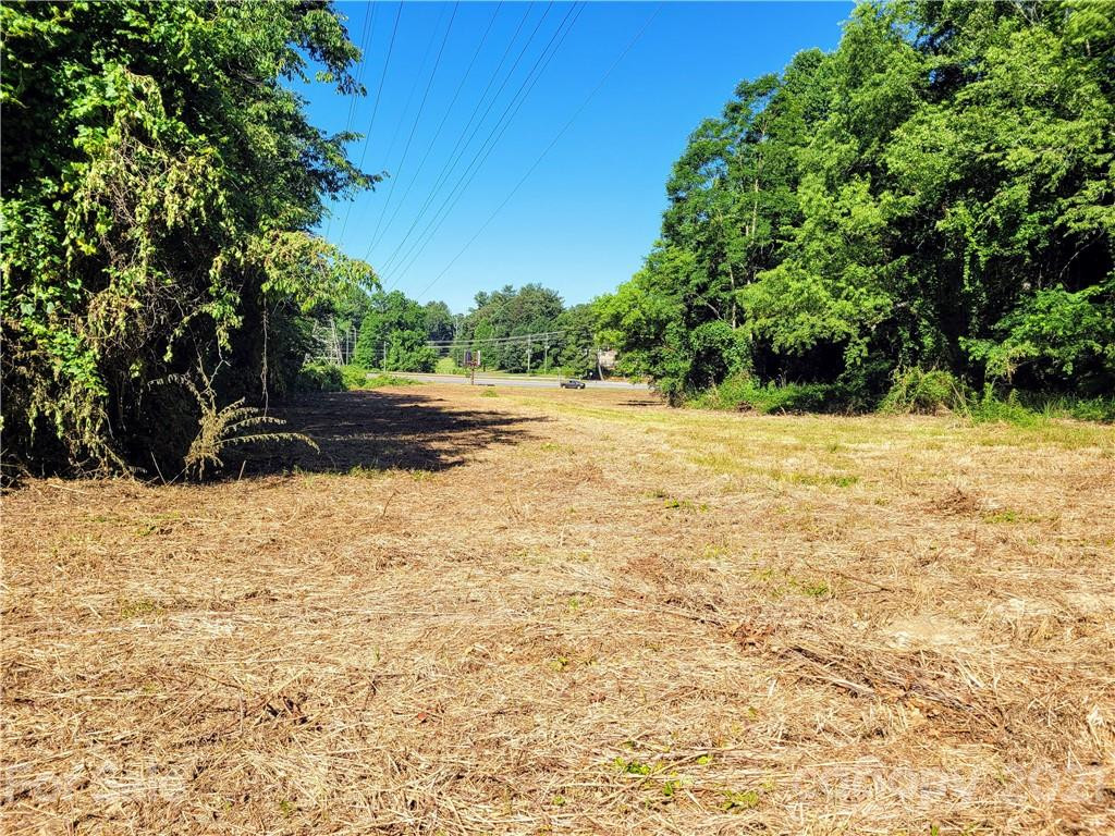 99999 Hendersonville Road - Photo 13