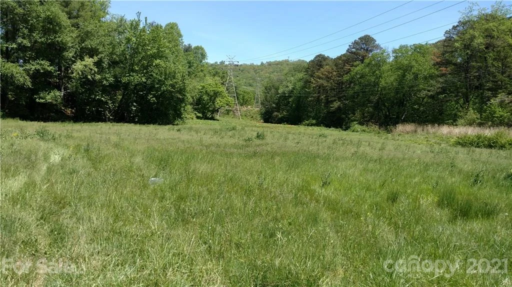 99999 Hendersonville Road - Photo 3