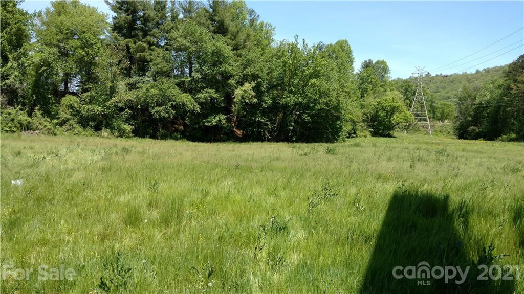 99999 Hendersonville Road - Photo 4