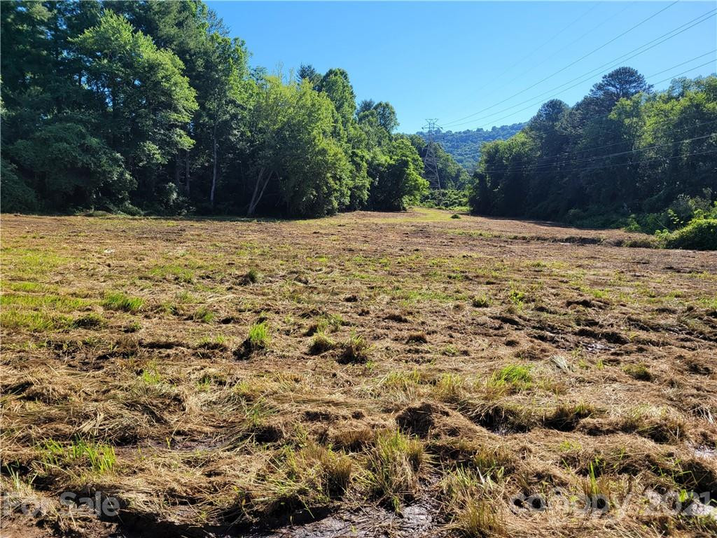 99999 Hendersonville Road - Photo 10