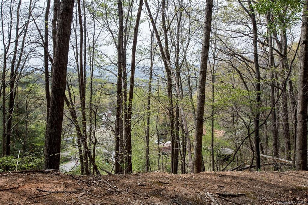 103 Mountain Ridge Drive - Photo 23