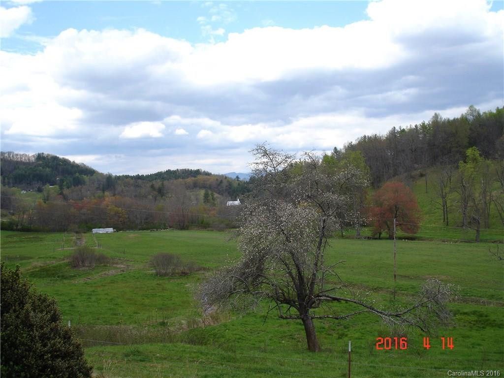 1417 Cullowhee Mountain Road - Photo 2