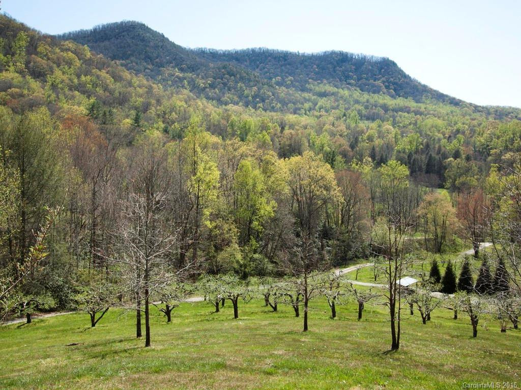 40 Sugar Hollow Orchard Drive - Photo 10
