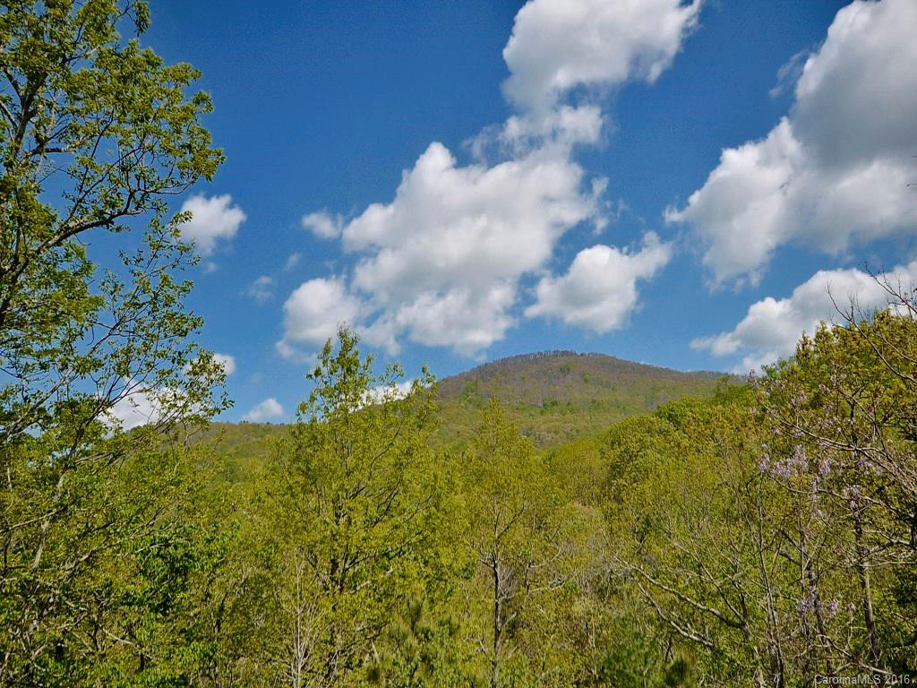 216 Green Mountain Road - Photo 3