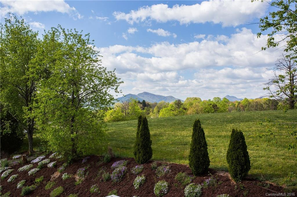 36 Long Meadows Drive - Photo 4