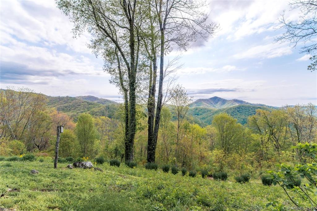 302 Cove Road - Photo 4