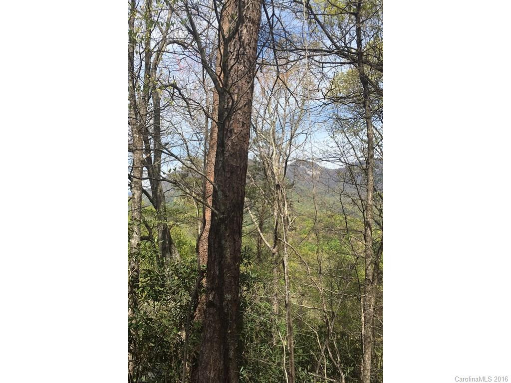 152 Mistletoe Park - Photo 3