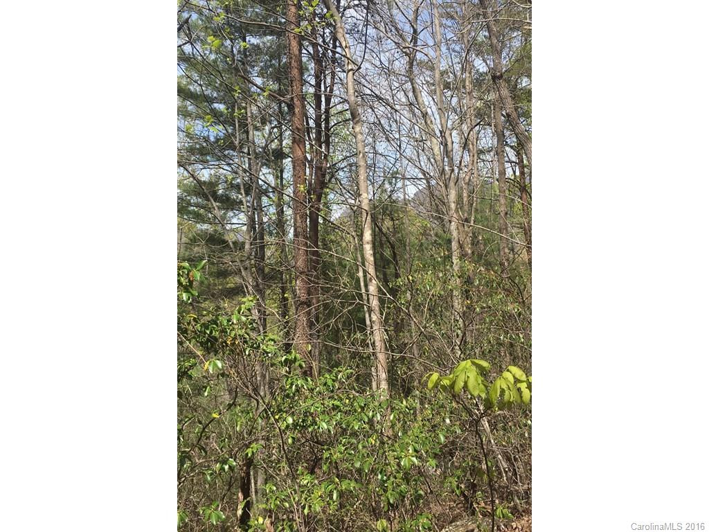 152 Mistletoe Park - Photo 4