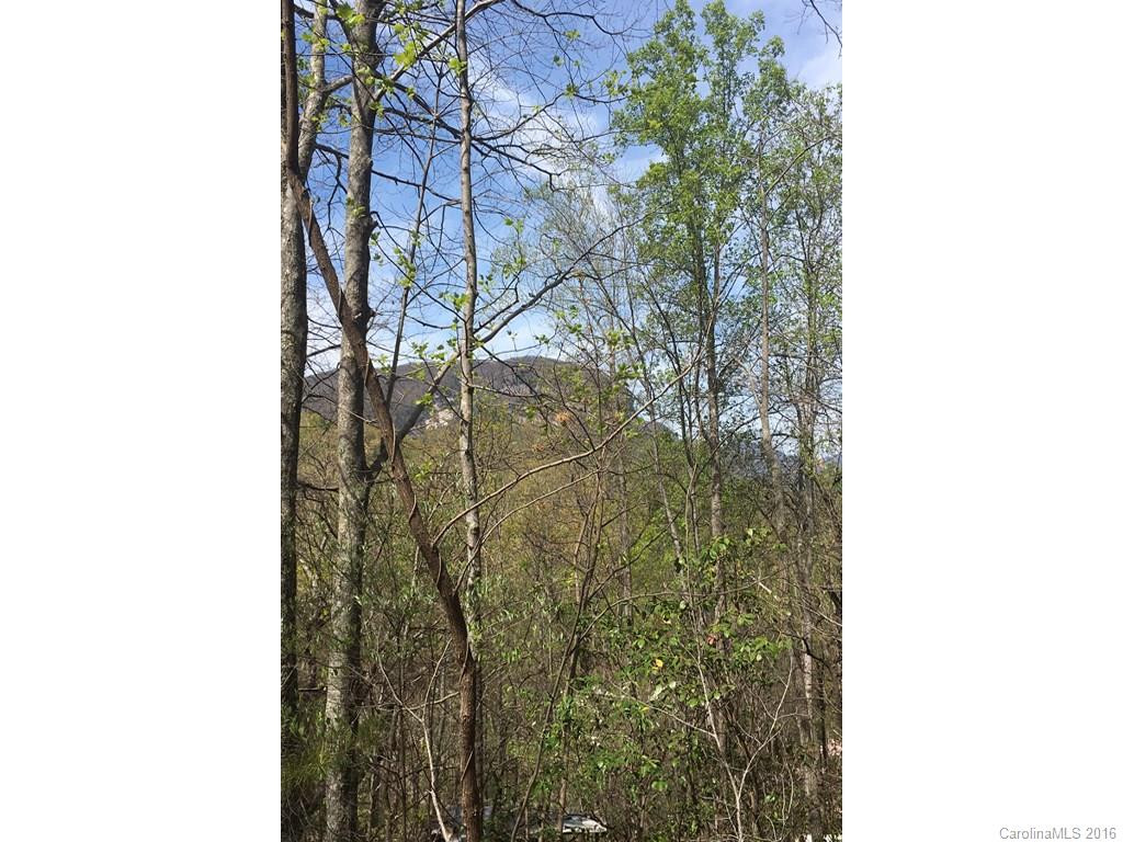 152 Mistletoe Park - Photo 6
