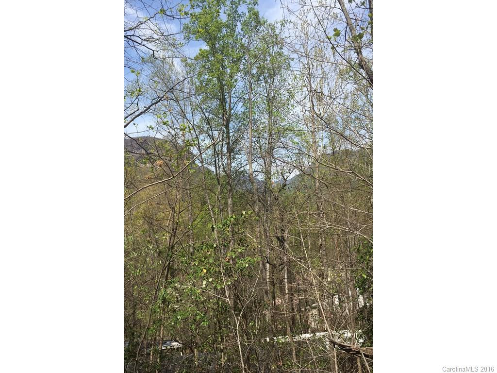 152 Mistletoe Park - Photo 7