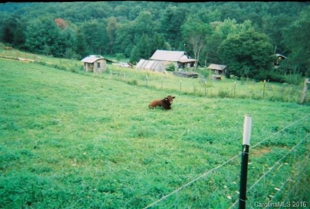 534 Grindstaff Road - Photo 12