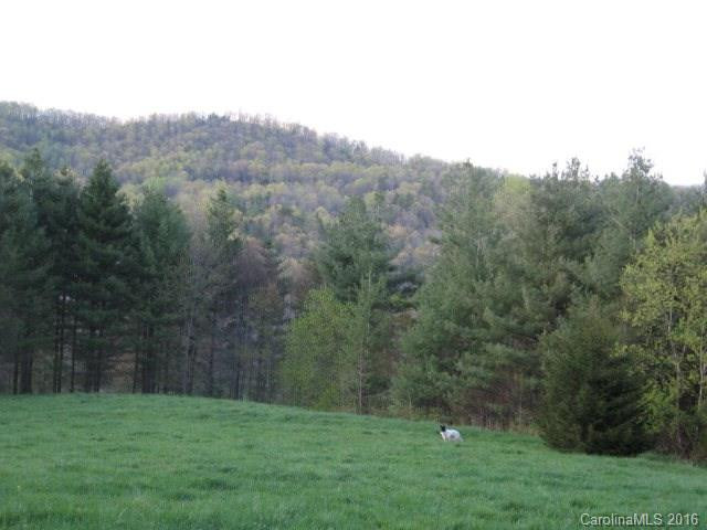 534 Grindstaff Road - Photo 5