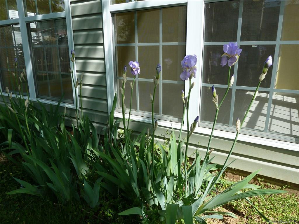 171 Running Briar Road - Photo 15