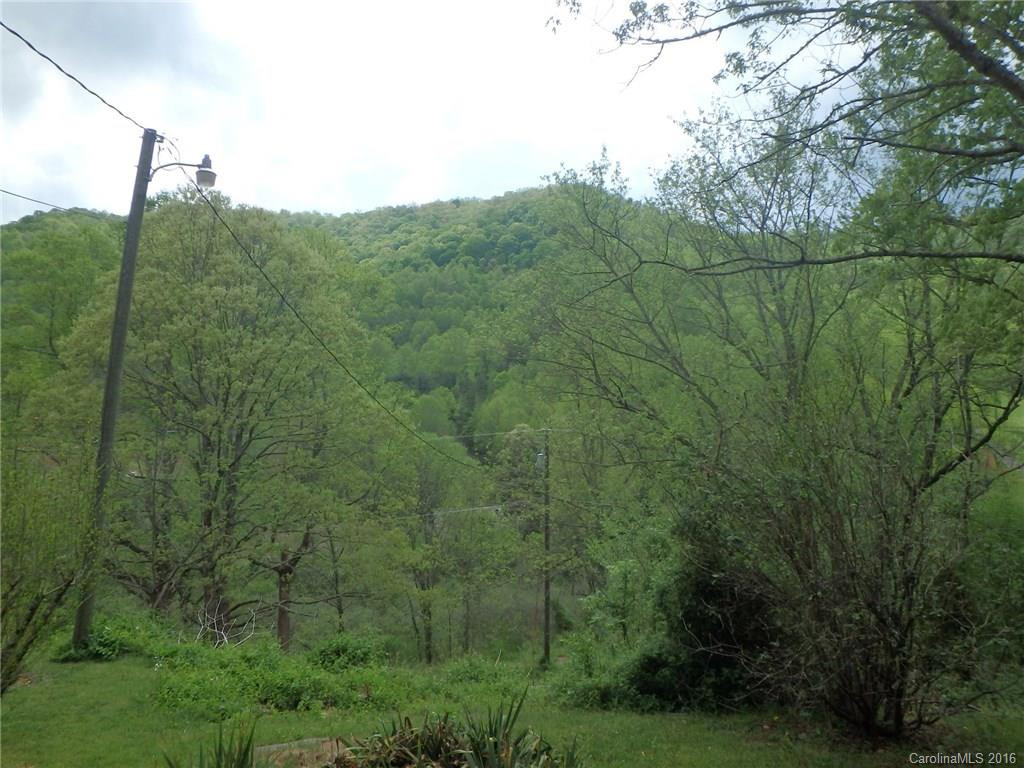 268 Paint Fork Road - Photo 17
