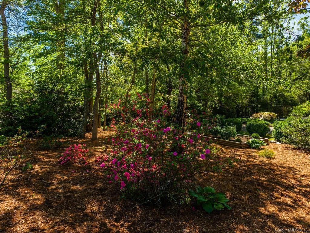 120 Silver Pine Drive - Photo 21