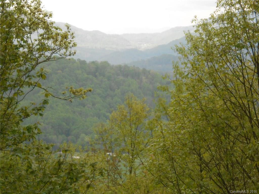 161 Smokey Ridge Loop #202 - Photo 17