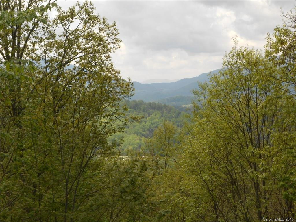 161 Smokey Ridge Loop #202 - Photo 3