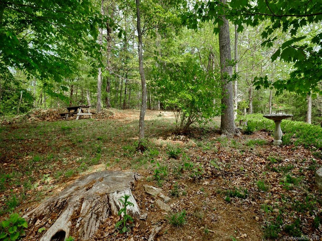 8 Turkey Paw Trail - Photo 21