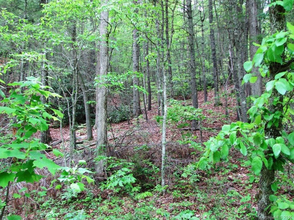 2372 Locust Grove Road - Photo 20
