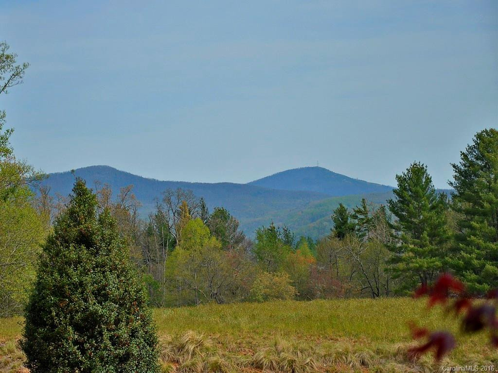 116 Byers Cove Road - Photo 3