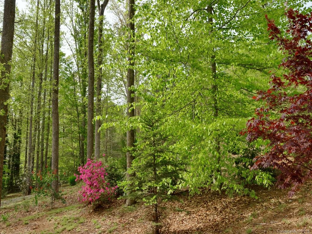 612 Brush Creek Road - Photo 19