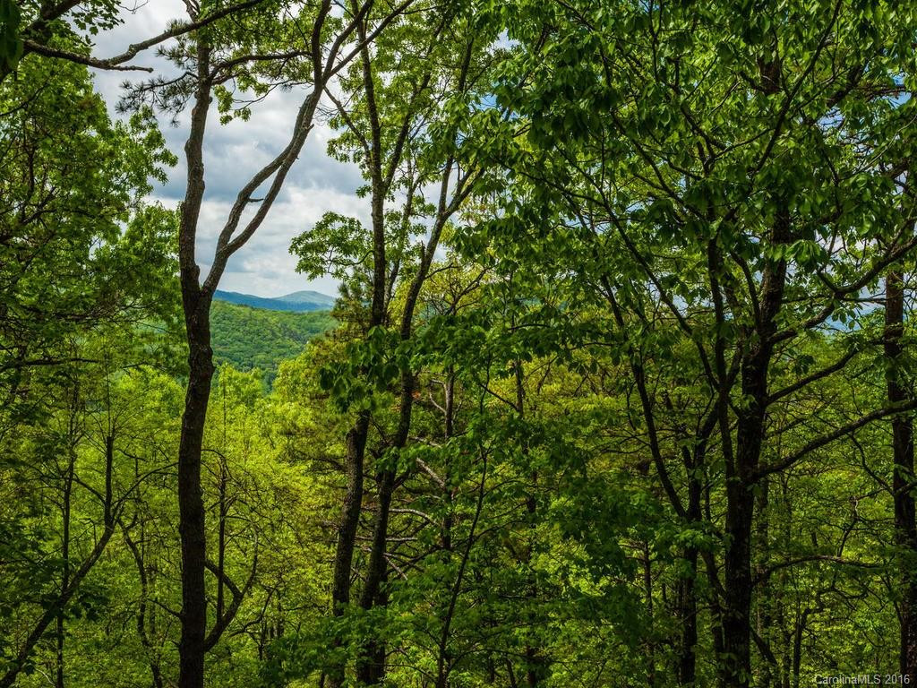157 Spring Mountain Road - Photo 15