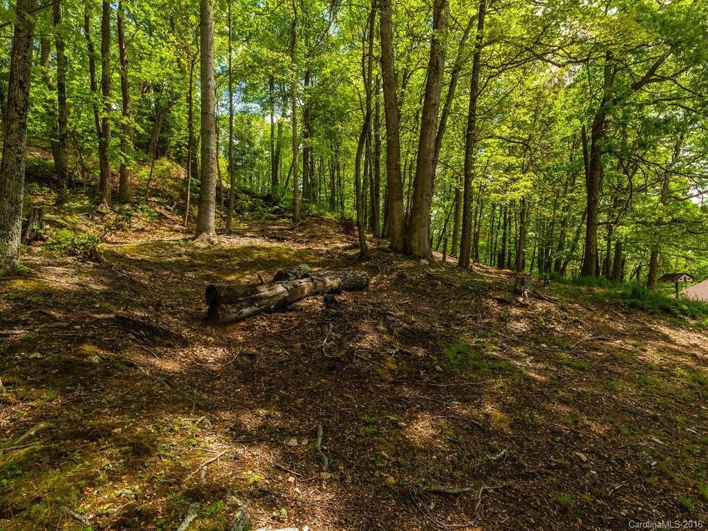 157 Spring Mountain Road - Photo 22