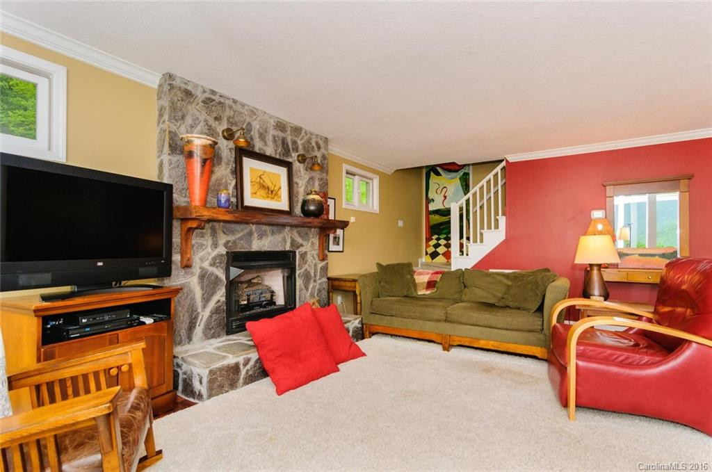 583 Meadow Branch Road - Photo 3