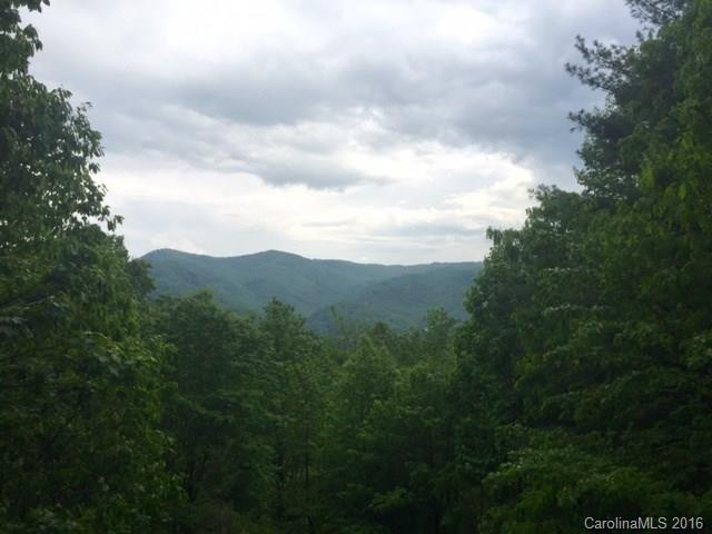 210 Trail Ridge Road - Photo 3