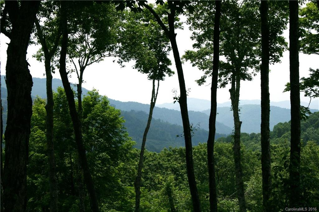 216 Hampton Gap Road - Photo 3
