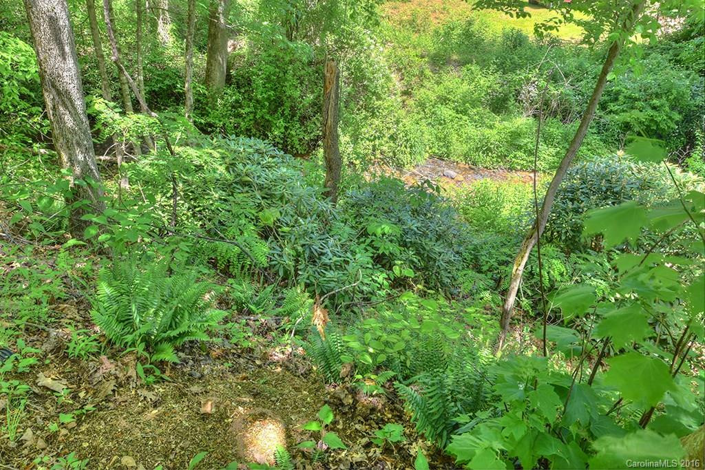 44 Foliage Trail - Photo 6