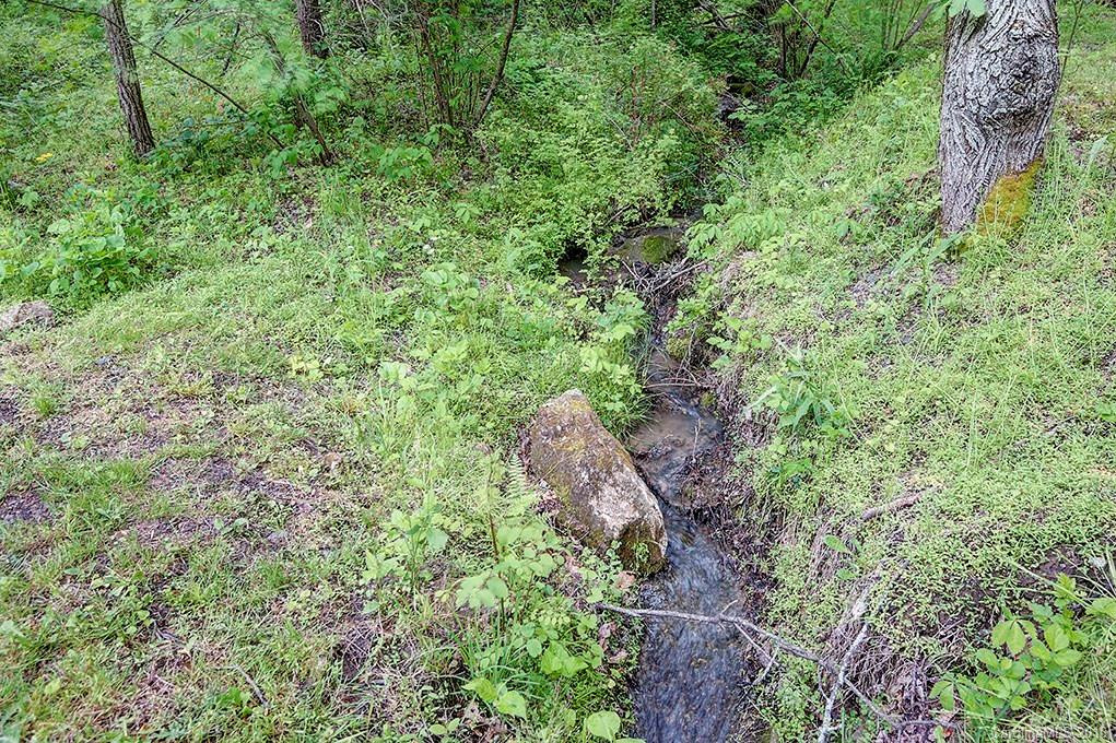 31 Wilderness Drive - Photo 16