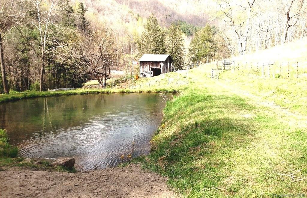 107 Sunhillo Springs Trail - Photo 10