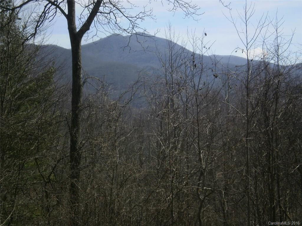 112 Althea Ridge Road - Photo 10