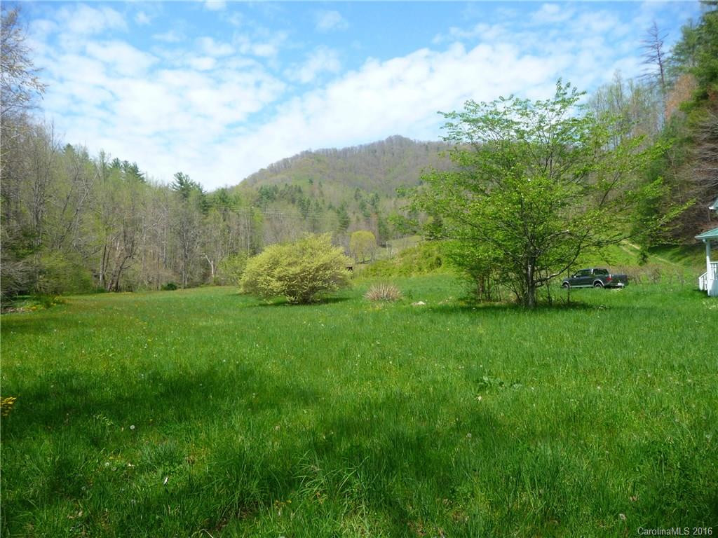 2932 Big Laurel Road - Photo 3