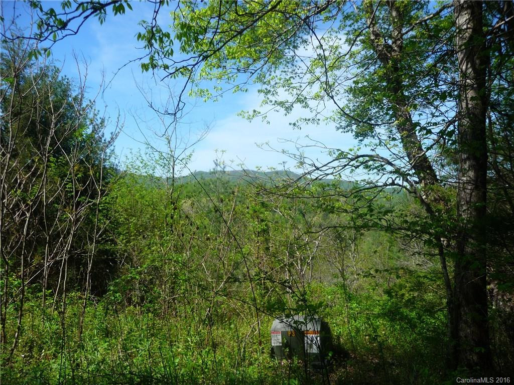 2932 Big Laurel Road - Photo 22