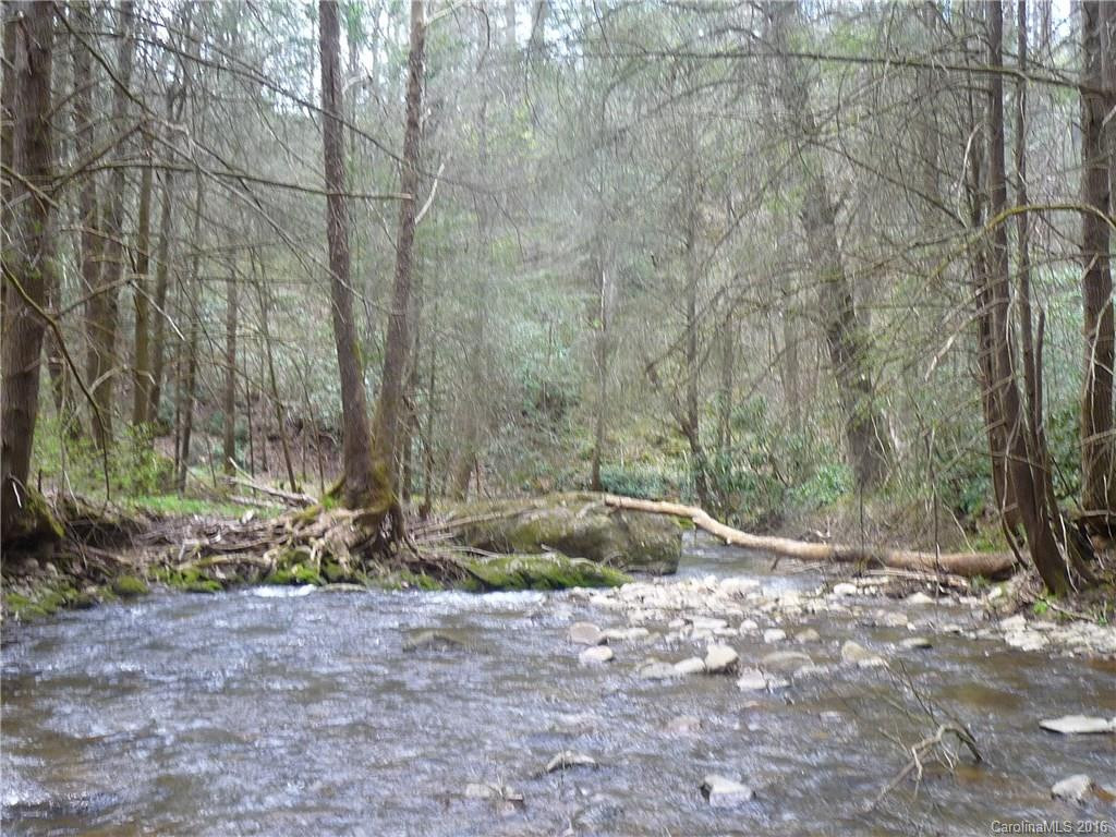 2932 Big Laurel Road - Photo 24