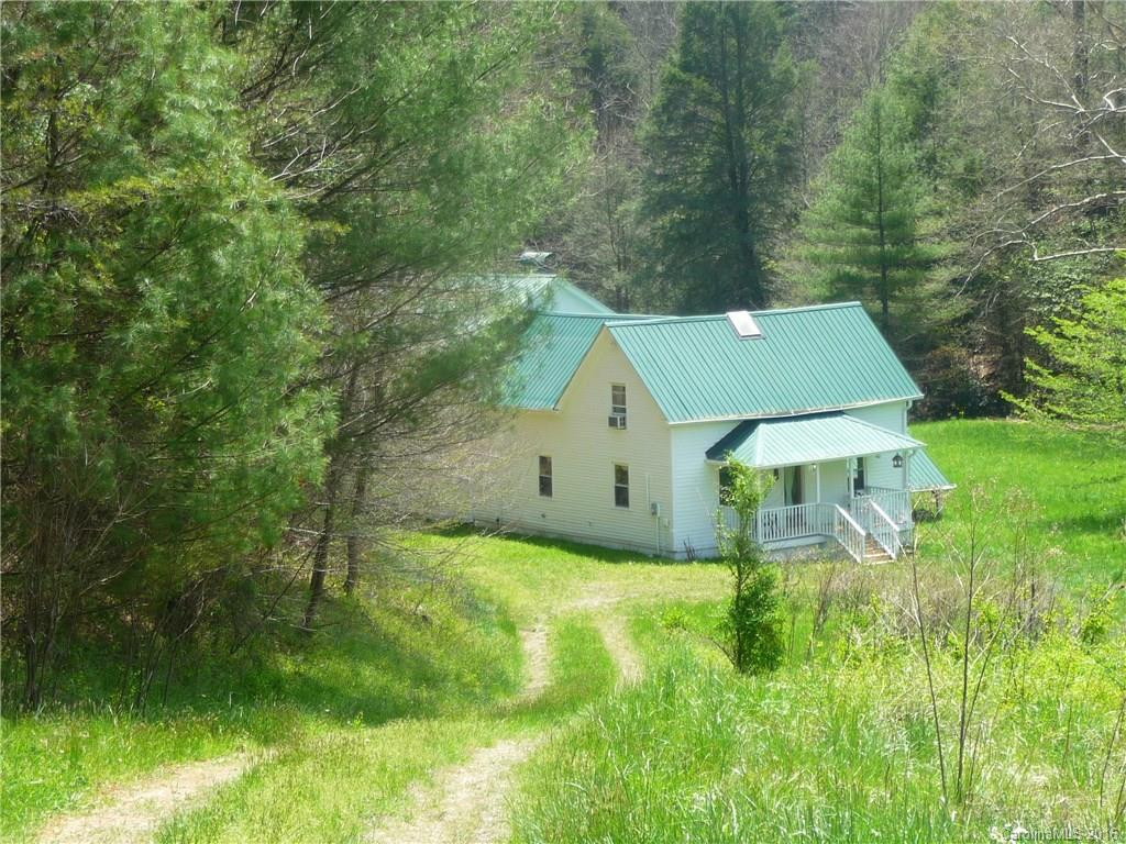 2932 Big Laurel Road - Photo 4