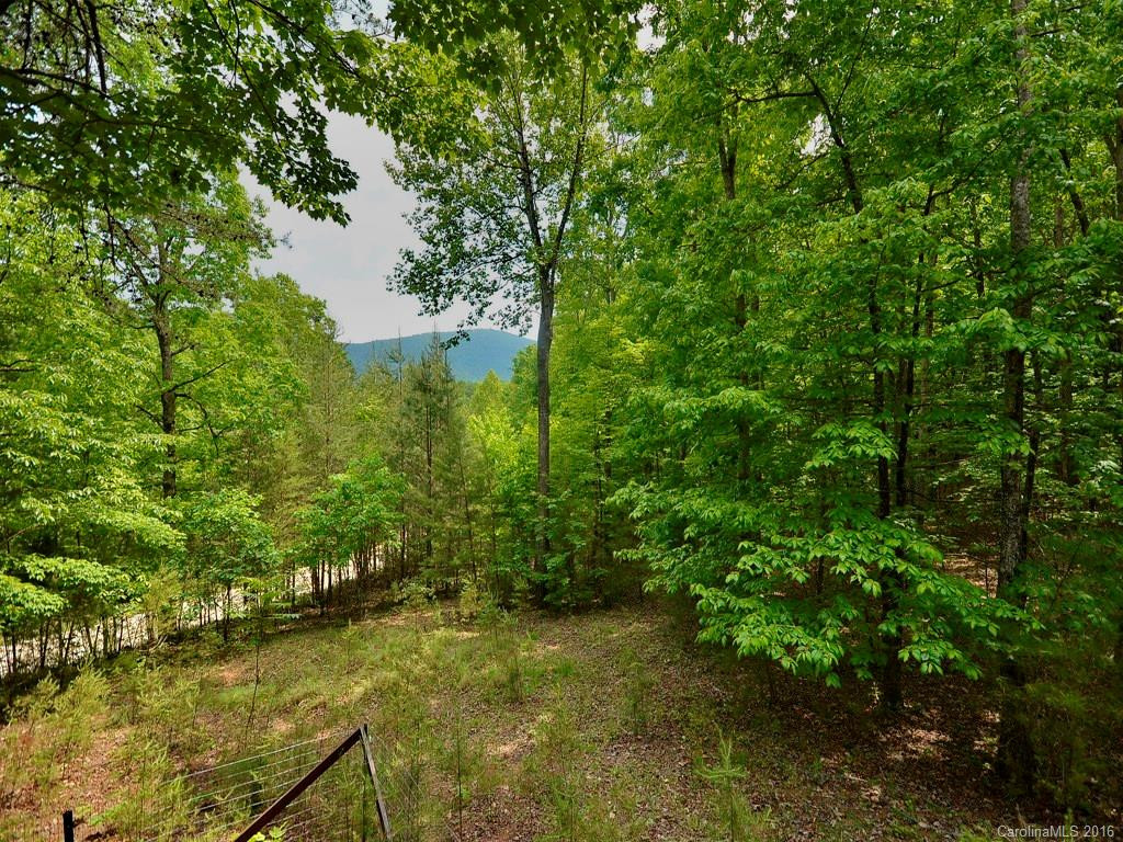 61 Wesley Lane #76 - Photo 19