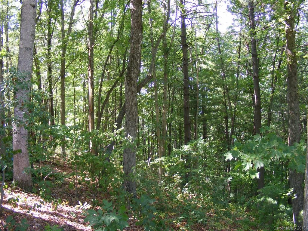 14 Whistle Ridge Road - Photo 19