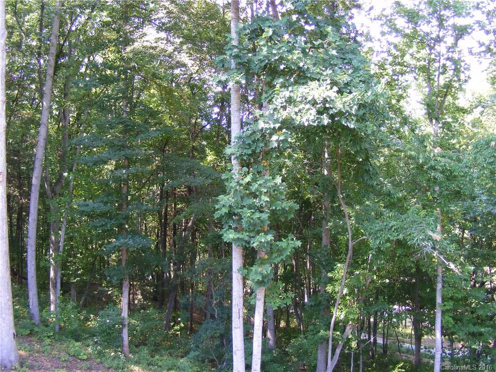 14 Whistle Ridge Road - Photo 20