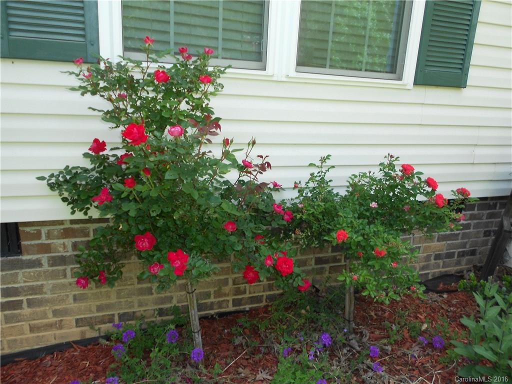 76 Lakewood Road - Photo 14