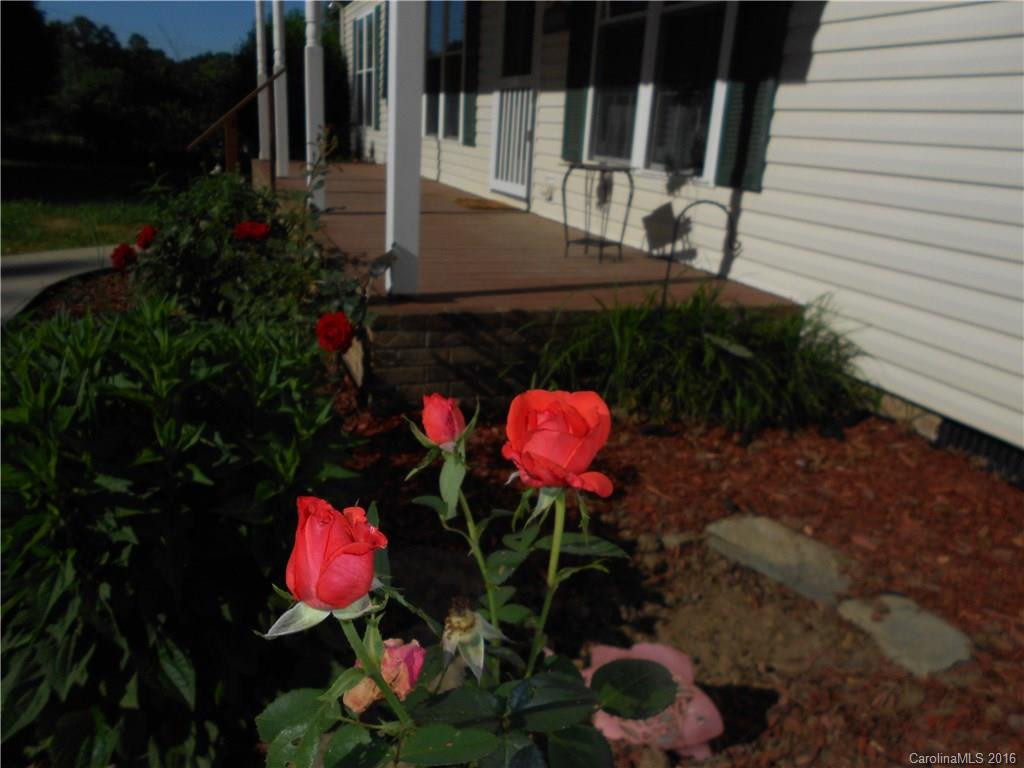 76 Lakewood Road - Photo 3