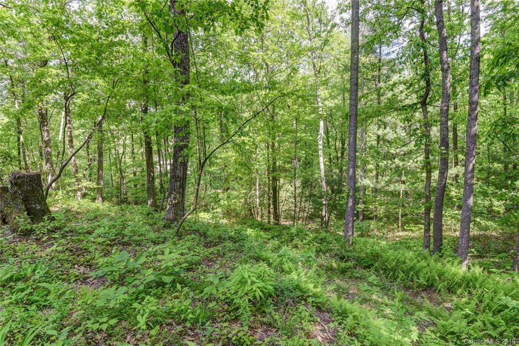 108 Red Cedar Lane - Photo 23